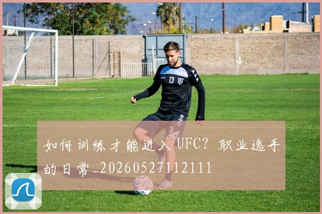 如何训练才能进入 UFC?职业选手的日常_20260527112111